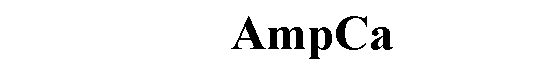 Text Box:       AmpCa 