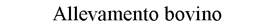 Text Box: Allevamento bovino