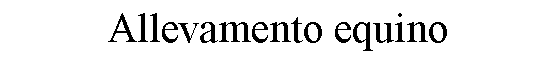 Text Box: Allevamento equino